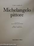L'opera completa di Michelangelo pittore