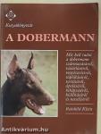 A dobermann