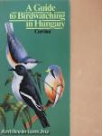 A Guide to Birdwatching in Hungary