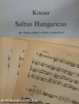 Saltus Hungaricus