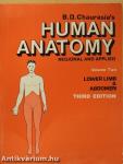 Human Anatomy 2. - Lower Limb & Abdomen