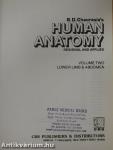 Human Anatomy 2. - Lower Limb & Abdomen