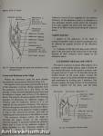 Human Anatomy 2. - Lower Limb & Abdomen