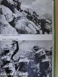 A Monte Cassinó-i csata