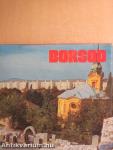 Borsod