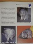 Macskatartók kézikönyve