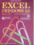 Excel for Windows 5.0