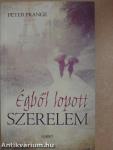 Égből lopott szerelem