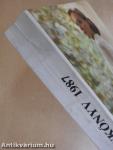Filmévkönyv 1987
