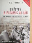 Esélyek a piramis alján