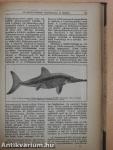 Természettudományi Közlöny 1924. január-december/Természettudományi Közlöny 1929. november 15.