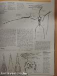 The Illustrated Encyclopedia of Pterosaurs