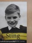 Sting - Széttört zene