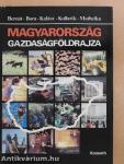 Magyarország gazdaságföldrajza