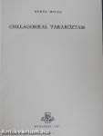 Csillagokkal takaróztam