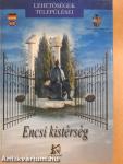 Encsi kistérség