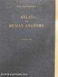 Atlas of Human Anatomy II.