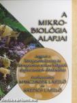 A mikrobiológia alapjai