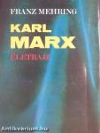 Karl Marx életrajz