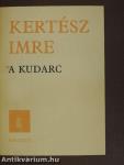 A kudarc