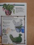 Kertészkedés - A szobanövények