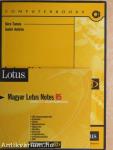 Lotus notes/Domino R5 - 2 db CD-vel