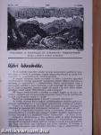 Turisták Lapja 1937. (nem teljes évfolyam)/A Magyar Turista Szövetség Hivatalos Értesítője 1937. január-december