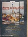 Csepp a tengerből
