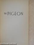 The Pigeon