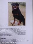 Der Rottweiler