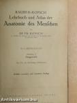 Lehrbuch und Atlas der Anatomie des Menschen 4.