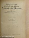 Lehrbuch und Atlas der Anatomie des Menschen 2.