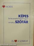 Képes brit és amerikai angol-magyar tematikus szótár