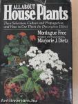 All About House Plants