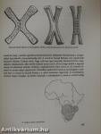 Afrikai kultúrák