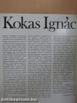 Kokas Ignác festőművész kiállítása