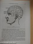 Az emberi agy aszimmetriái