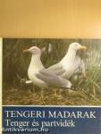 Tengeri madarak