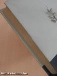 Ösvény a rengetegben