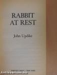 Rabbit at Rest
