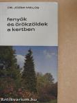 Fenyők és örökzöldek a kertben