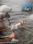 Cousteau kapitány a Calypso fedélzetén