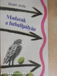 Madarak a futballpályán