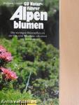 Alpenblumen