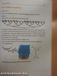 Tanulók könyve - Matematika 10. évfolyam - 2. félév