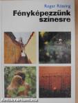 Fényképezzünk színesre