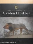 A vadon képekben