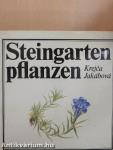 Steingartenpflanzen