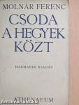 Csoda a hegyek közt