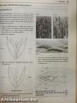Rural Science 1